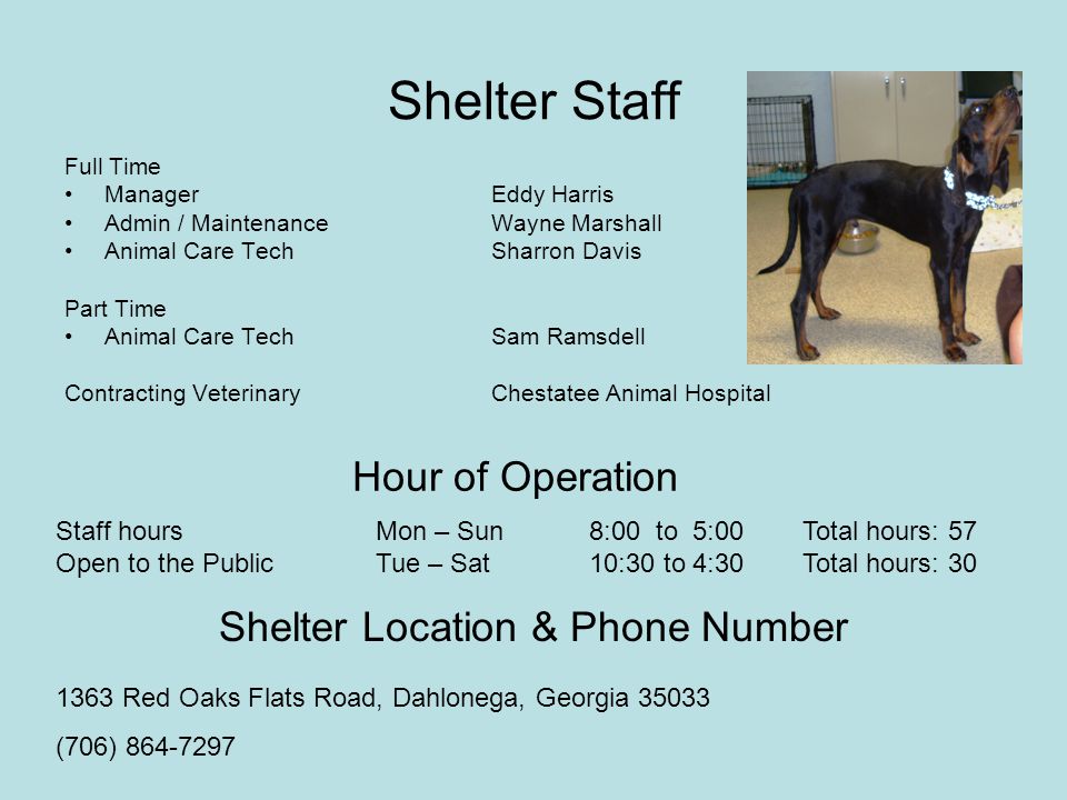 Shelter Staff Full Time ManagerEddy Harris Admin / MaintenanceWayne Marshall Animal Care Tech Sharron Davis Part Time Animal Care TechSam Ramsdell Contracting Veterinary Chestatee Animal Hospital Hour of Operation Staff hours Mon – Sun8:00 to 5:00Total hours: 57 Open to the Public Tue – Sat 10:30 to 4:30Total hours: 30 Shelter Location & Phone Number 1363 Red Oaks Flats Road, Dahlonega, Georgia (706)