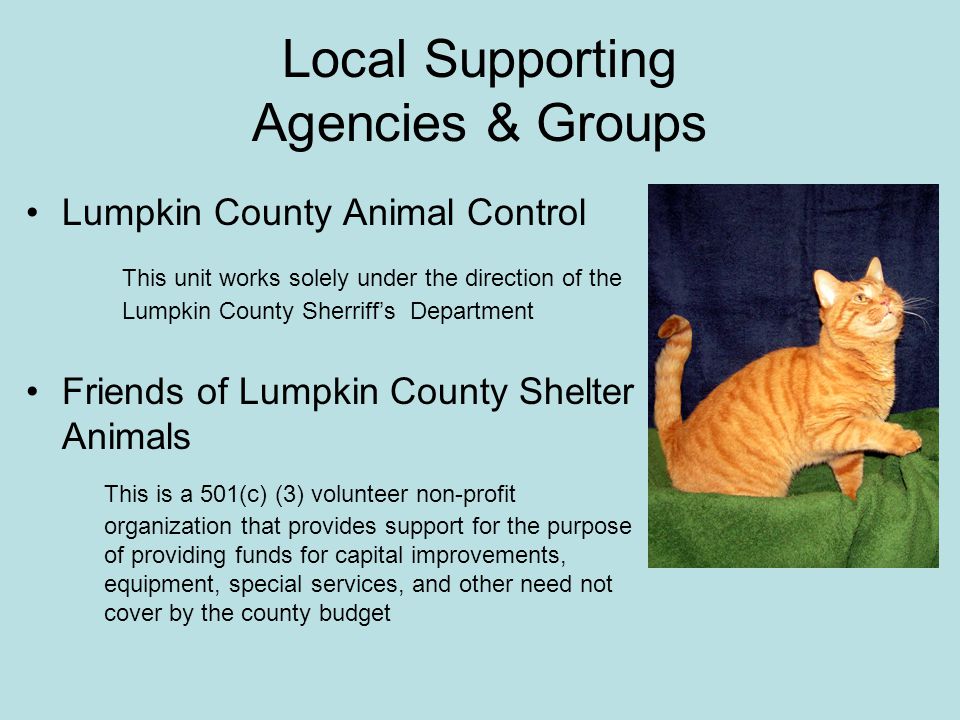 Local Supporting Agencies & Groups Lumpkin County Animal Control This unit works solely under the direction of the Lumpkin County Sherriff’s Department Friends of Lumpkin County Shelter Animals This is a 501(c) (3) volunteer non-profit organization that provides support for the purpose of providing funds for capital improvements, equipment, special services, and other need not cover by the county budget