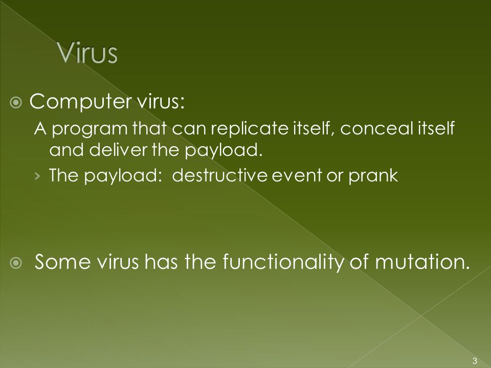  Computer virus: A program that can replicate itself, conceal itself and deliver the payload.