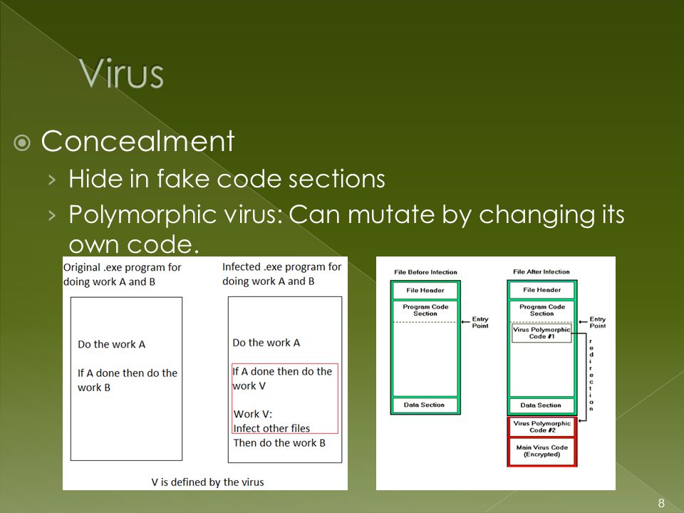  Concealment › Hide in fake code sections › Polymorphic virus: Can mutate by changing its own code.