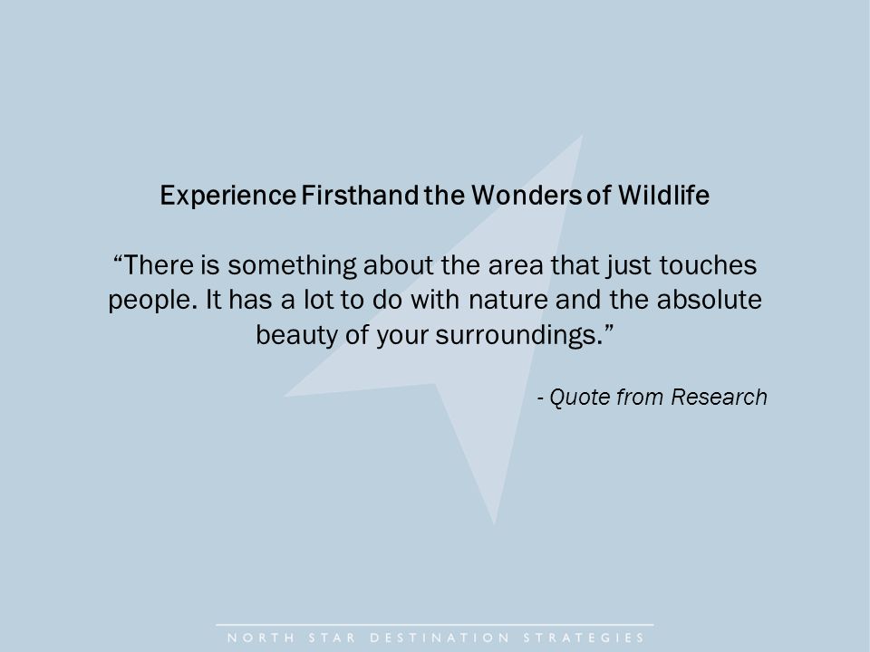 Experience Firsthand the Wonders of Wildlife There is something about the area that just touches people.