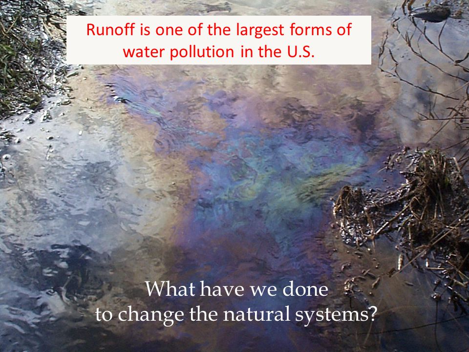 Runoff is one of the largest forms of water pollution in the U.S.