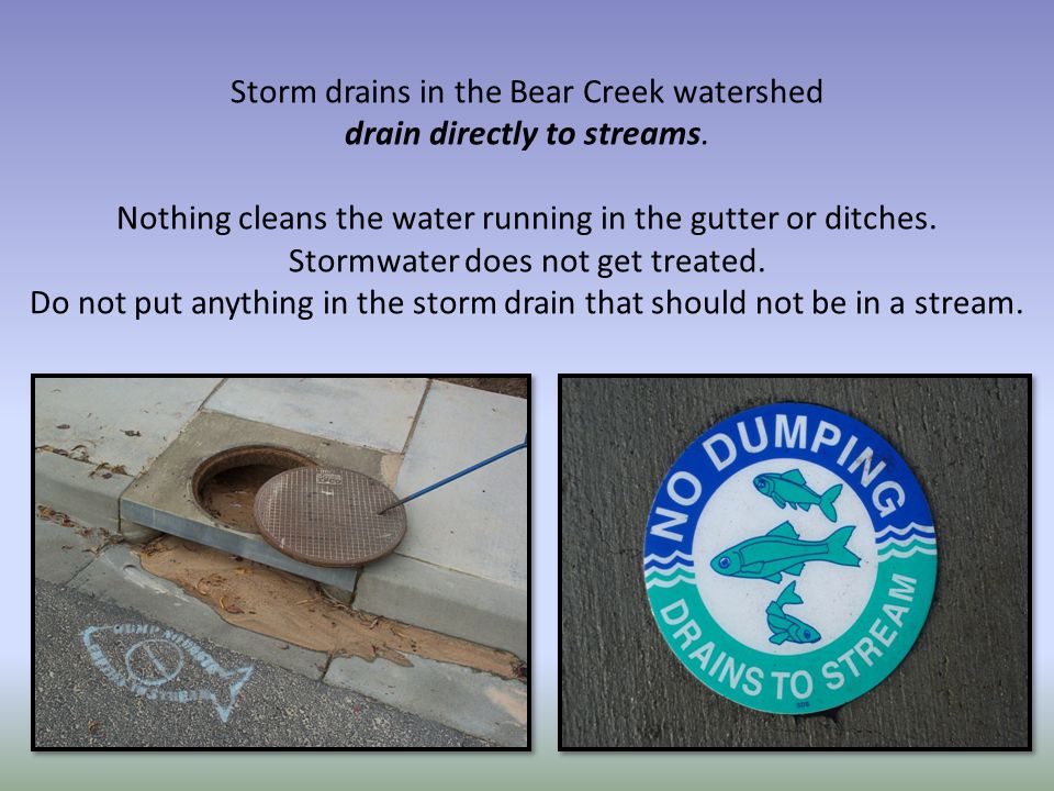 Storm drains in the Bear Creek watershed drain directly to streams.