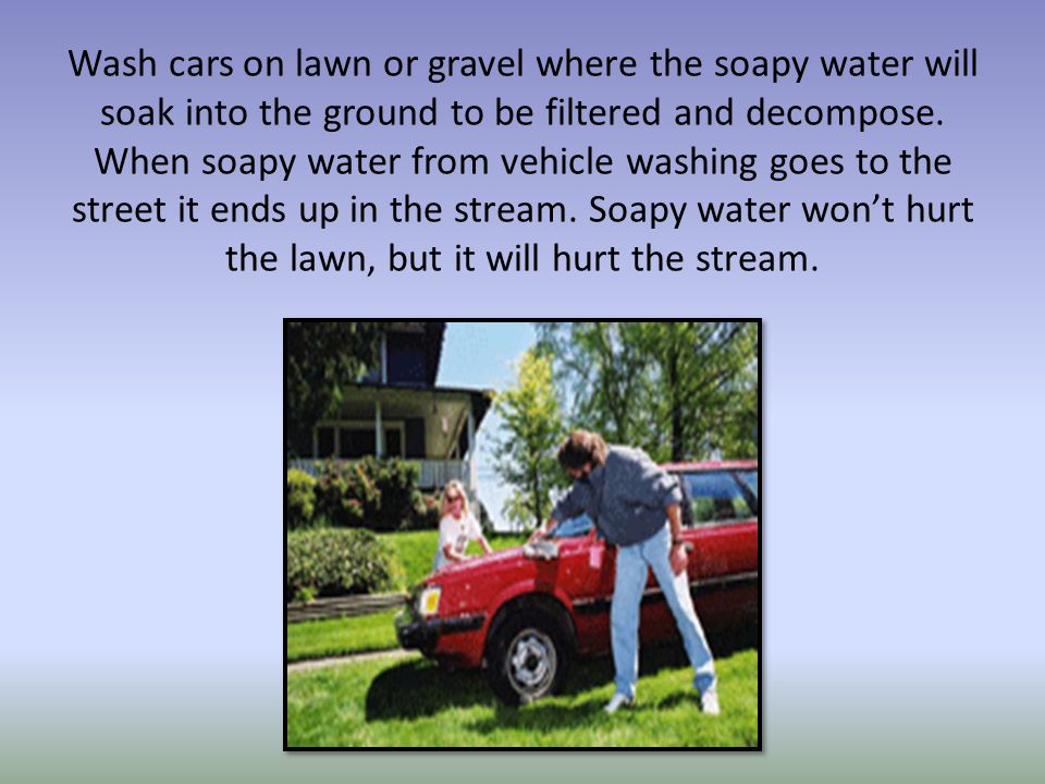 Wash cars on lawn or gravel where the soapy water will soak into the ground to be filtered and decompose.