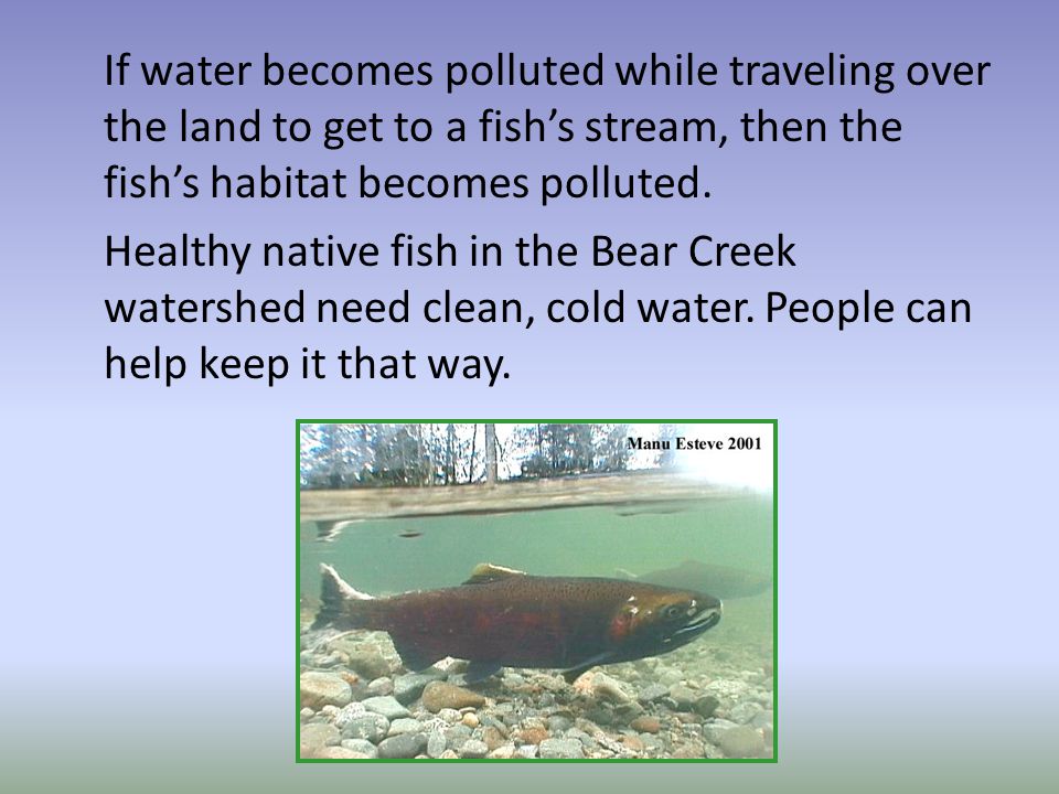 If water becomes polluted while traveling over the land to get to a fish’s stream, then the fish’s habitat becomes polluted.