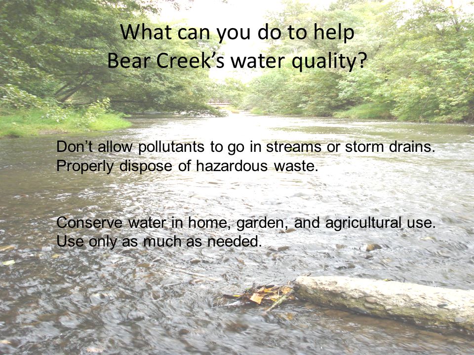 What can you do to help Bear Creek’s water quality.