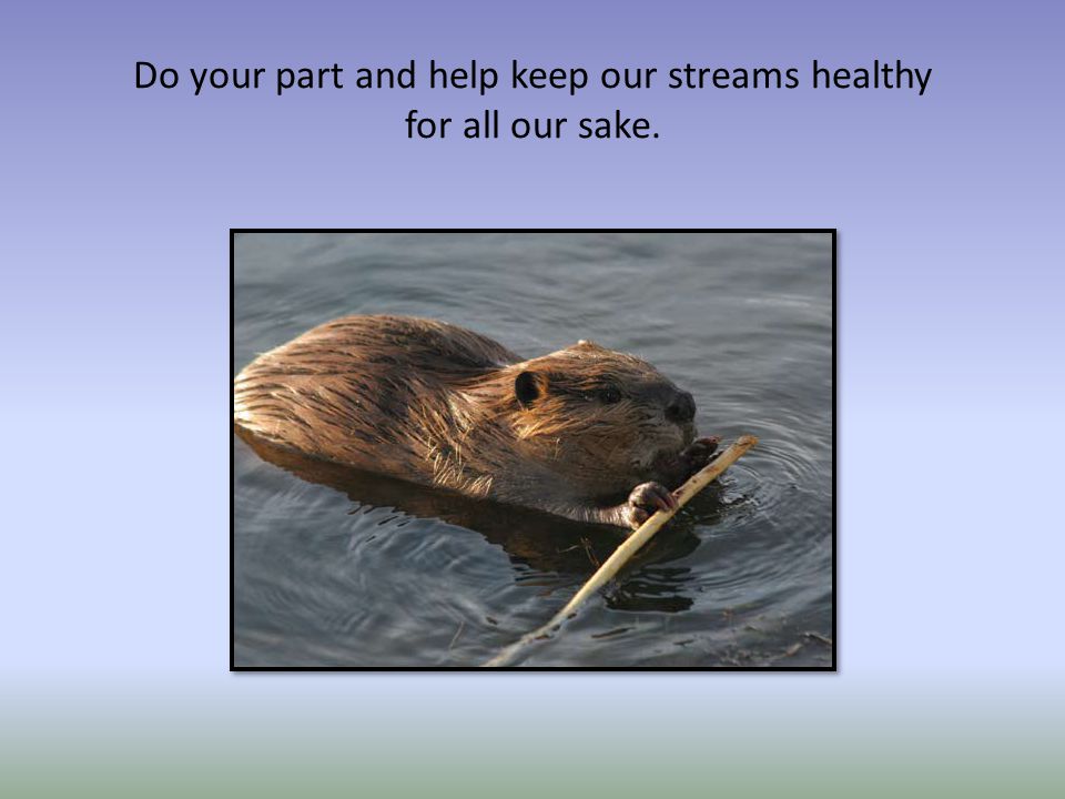 Do your part and help keep our streams healthy for all our sake.