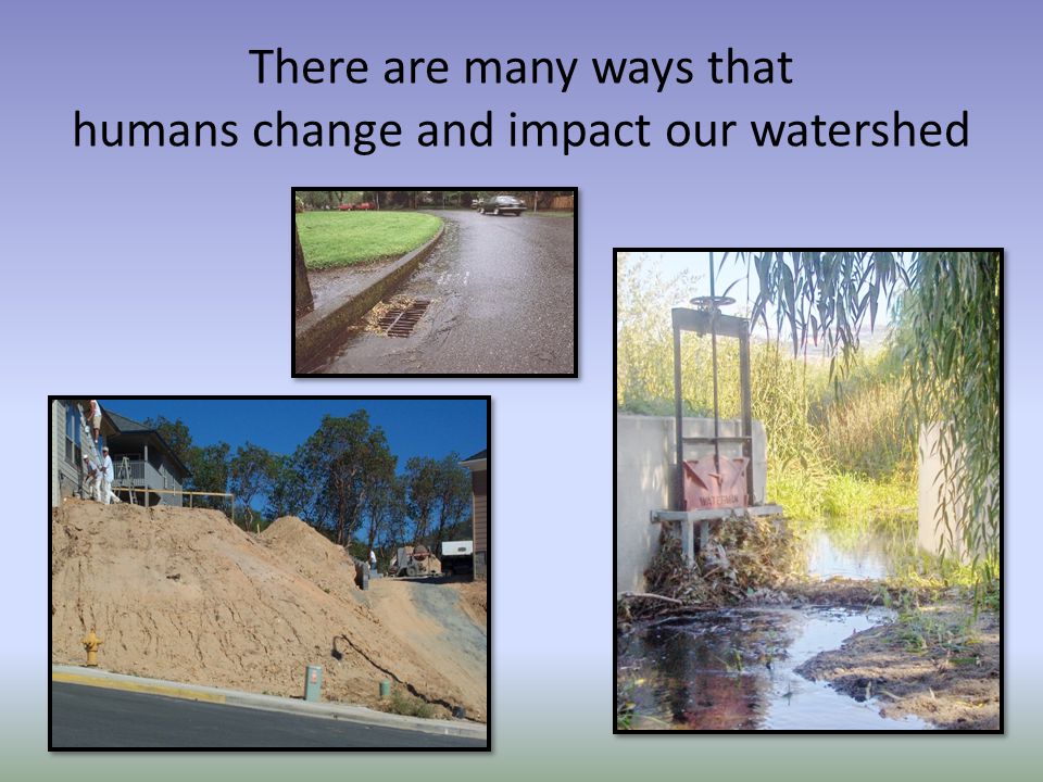 There are many ways that humans change and impact our watershed