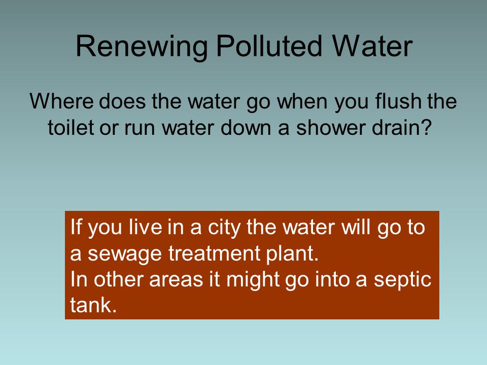 Renewing Polluted Water Where does the water go when you flush the toilet or run water down a shower drain.