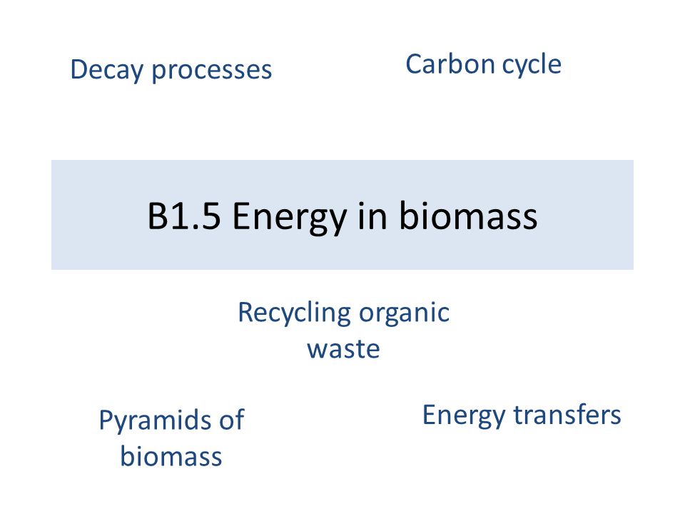 B1.5 Energy in biomass Pyramids of biomass Energy transfers Decay processes Carbon cycle Recycling organic waste