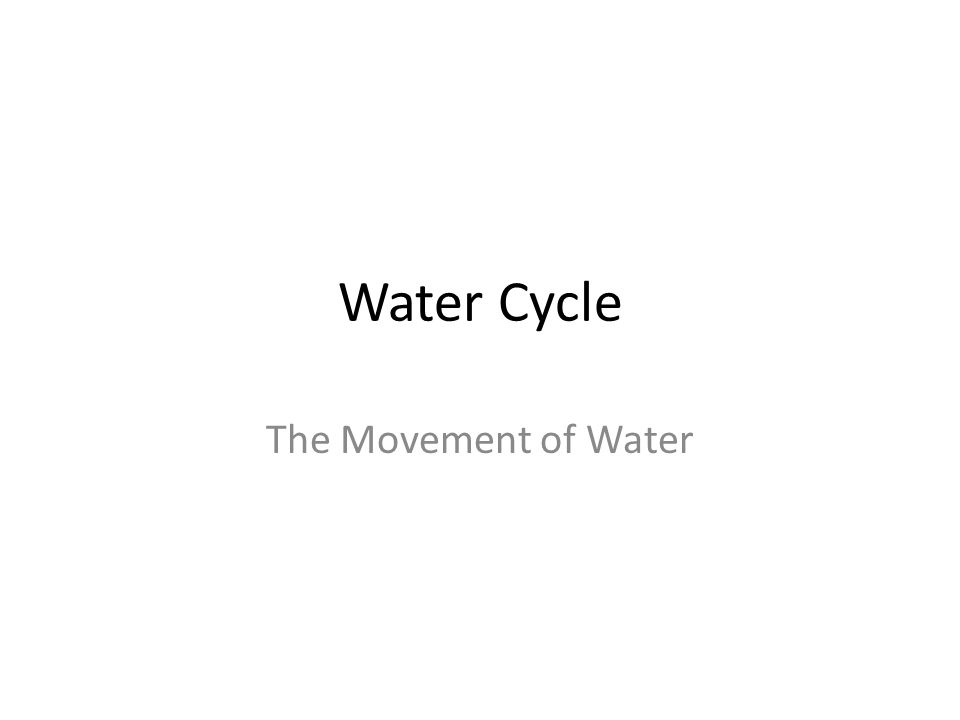 Water Cycle The Movement of Water
