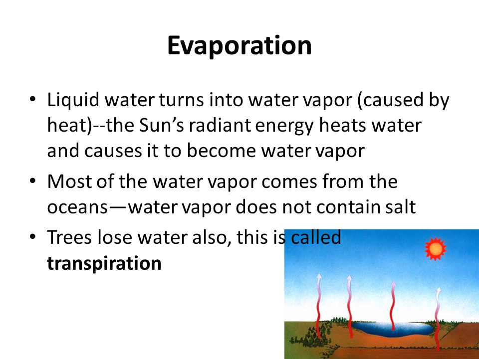 Evaporation Liquid water turns into water vapor (caused by heat)--the Sun’s radiant energy heats water and causes it to become water vapor Most of the water vapor comes from the oceans—water vapor does not contain salt Trees lose water also, this is called transpiration