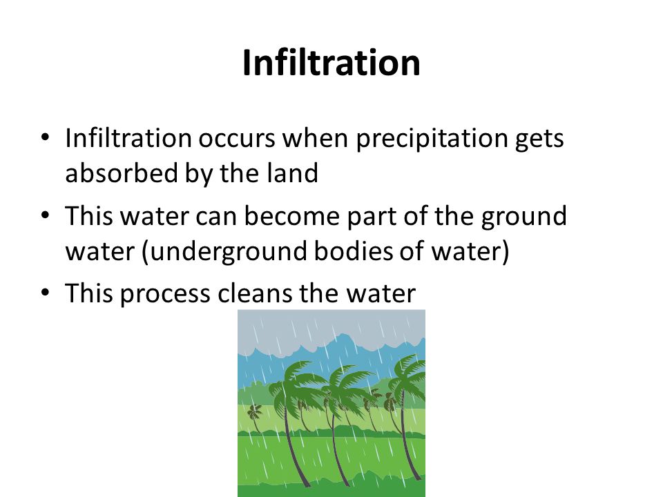 Infiltration Infiltration occurs when precipitation gets absorbed by the land This water can become part of the ground water (underground bodies of water) This process cleans the water