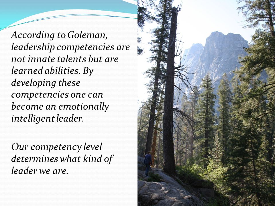 According to Goleman, leadership competencies are not innate talents but are learned abilities.