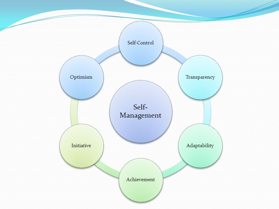 Self- Management Self-ControlTransparencyAdaptabilityAchievementInitiativeOptimism