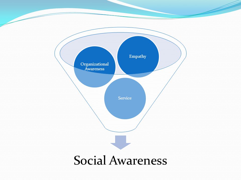 Social Awareness Service Organizational Awareness Empathy