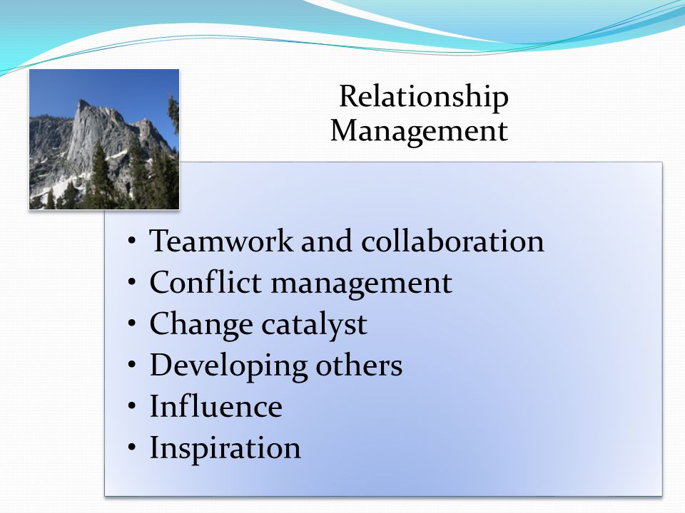 Relationship Management Teamwork and collaboration Conflict management Change catalyst Developing others Influence Inspiration