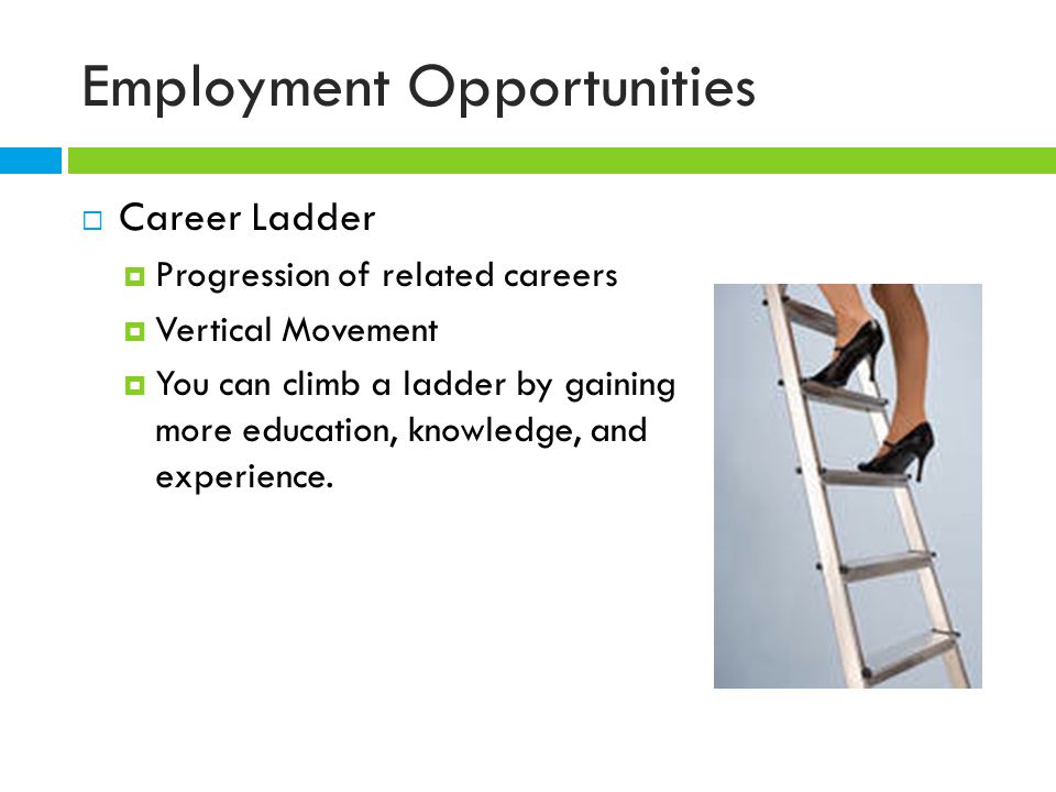 Employment Opportunities  Career Ladder  Progression of related careers  Vertical Movement  You can climb a ladder by gaining more education, knowledge, and experience.