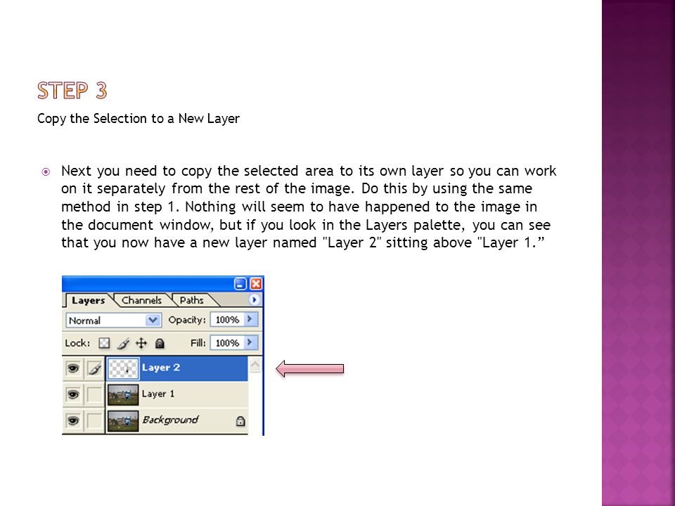 Copy the Selection to a New Layer  Next you need to copy the selected area to its own layer so you can work on it separately from the rest of the image.