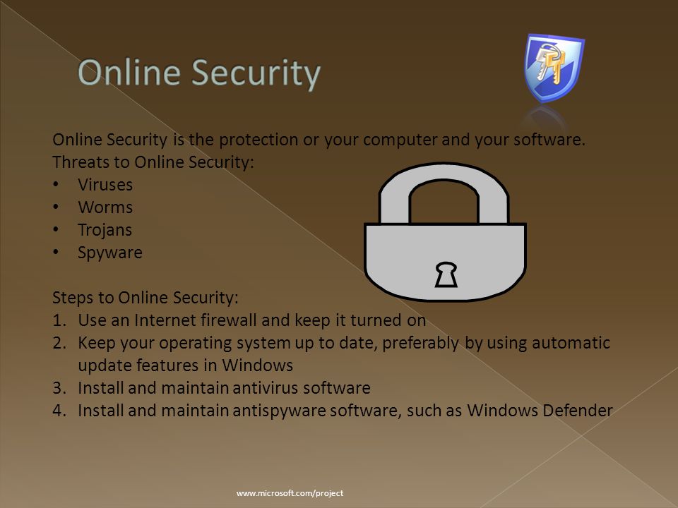 Online Security is the protection or your computer and your software.