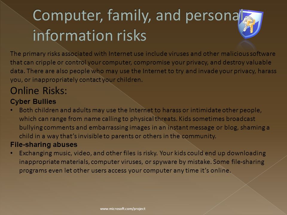 The primary risks associated with Internet use include viruses and other malicious software that can cripple or control your computer, compromise your privacy, and destroy valuable data.