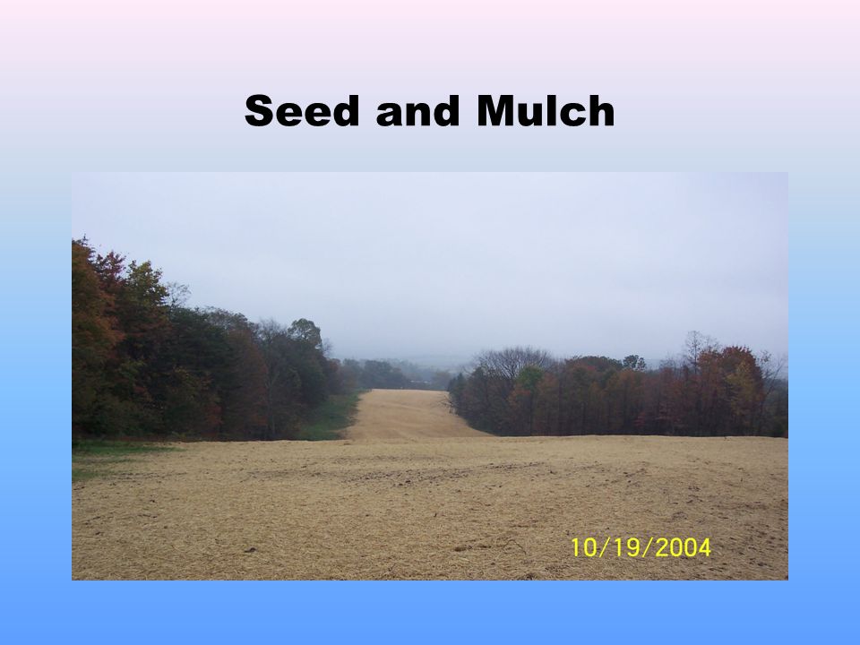 Seed and Mulch