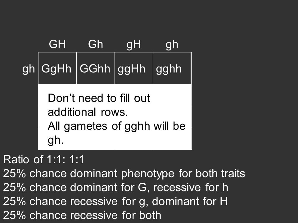 GHGhgHgh GgHhGGhhggHhgghh Don’t need to fill out additional rows.