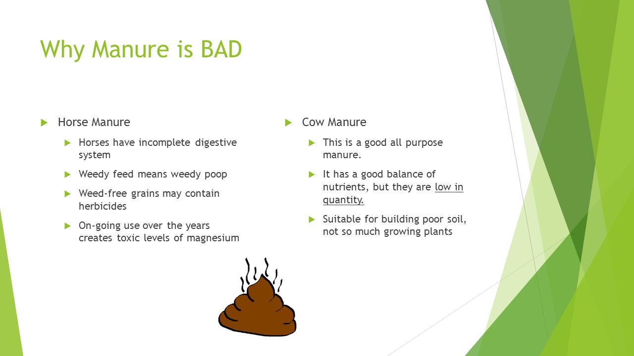 Why Manure is BAD  Horse Manure  Horses have incomplete digestive system  Weedy feed means weedy poop  Weed-free grains may contain herbicides  On-going use over the years creates toxic levels of magnesium  Cow Manure  This is a good all purpose manure.