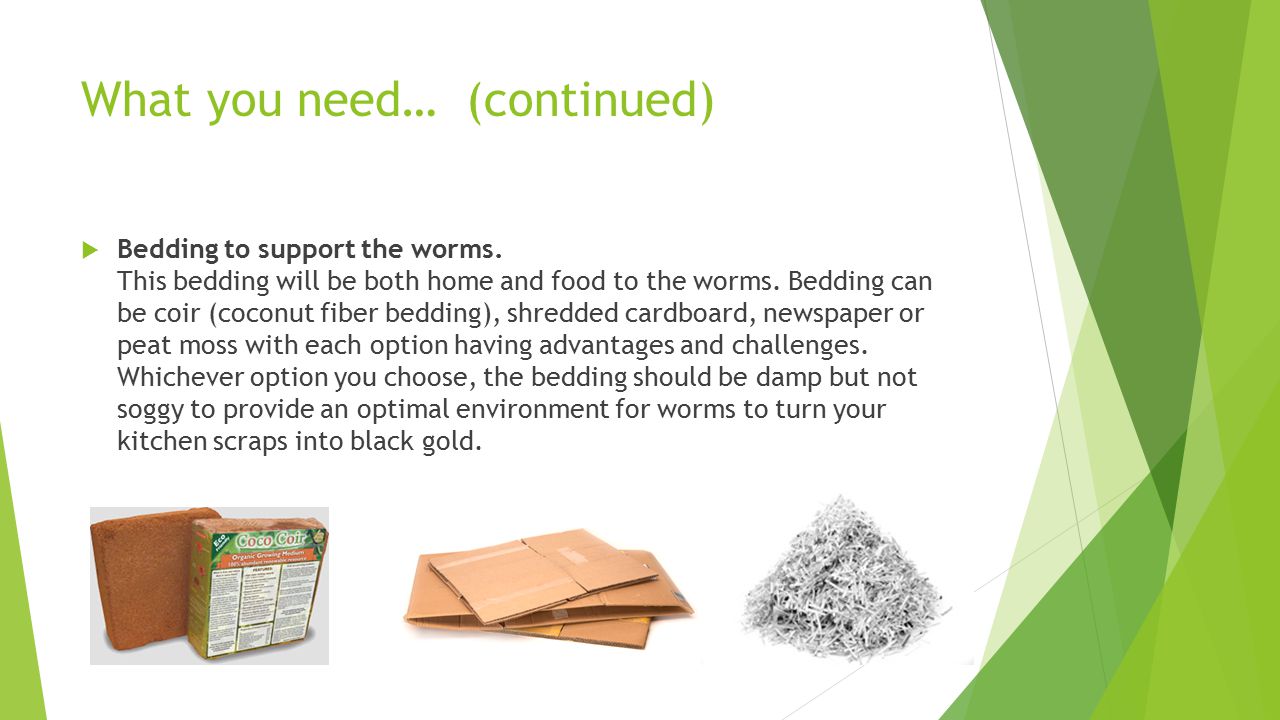 What you need… (continued)  Bedding to support the worms.