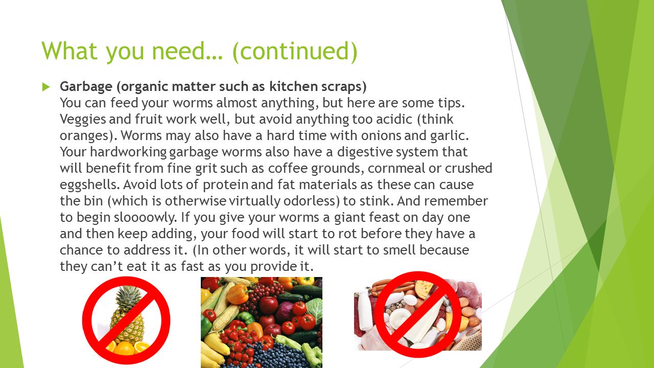 What you need… (continued)  Garbage (organic matter such as kitchen scraps) You can feed your worms almost anything, but here are some tips.