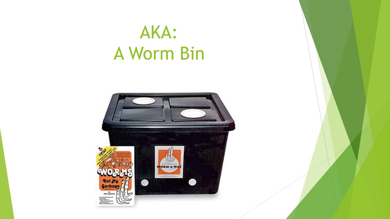 AKA: A Worm Bin