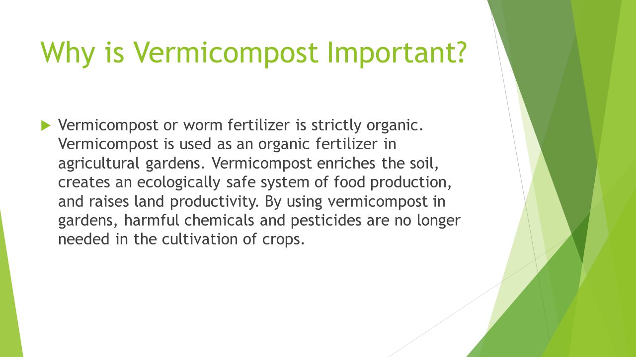 Why is Vermicompost Important.  Vermicompost or worm fertilizer is strictly organic.