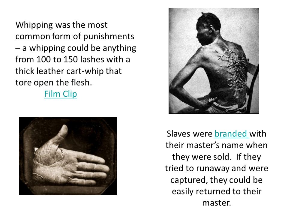 Slaves were branded with their master’s name when they were sold.