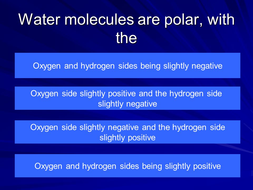 Water molecules are polar, with the Oxygen and hydrogen sides being slightly negative Oxygen and hydrogen sides being slightly positive Oxygen side slightly negative and the hydrogen side slightly positive Oxygen side slightly positive and the hydrogen side slightly negative