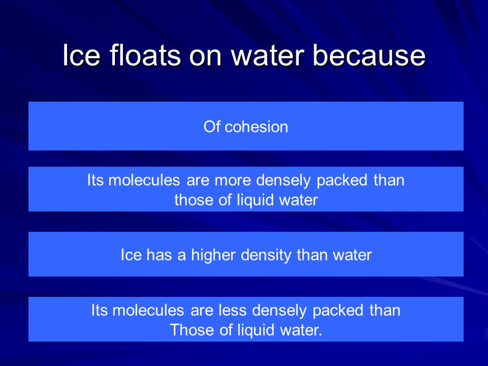 Ice floats on water because Of cohesion Its molecules are less densely packed than Those of liquid water.