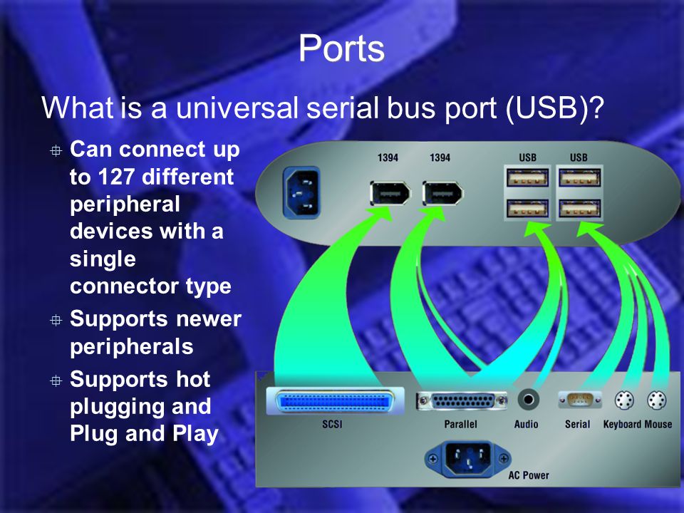 Introduction Computer Hardware Jess 2006 Ports What is a universal serial bus port (USB).