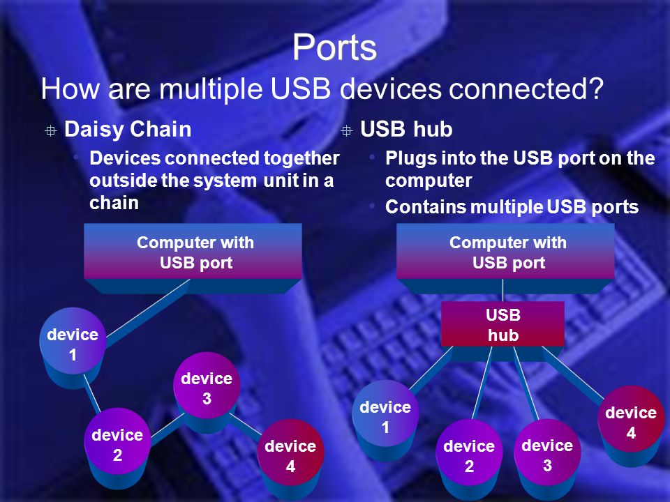 Introduction Computer Hardware Jess 2006 Ports How are multiple USB devices connected.