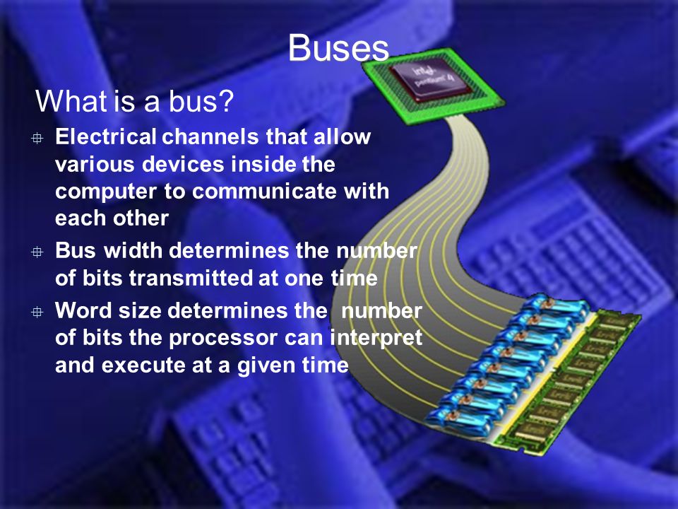 Introduction Computer Hardware Jess 2006 Buses What is a bus.