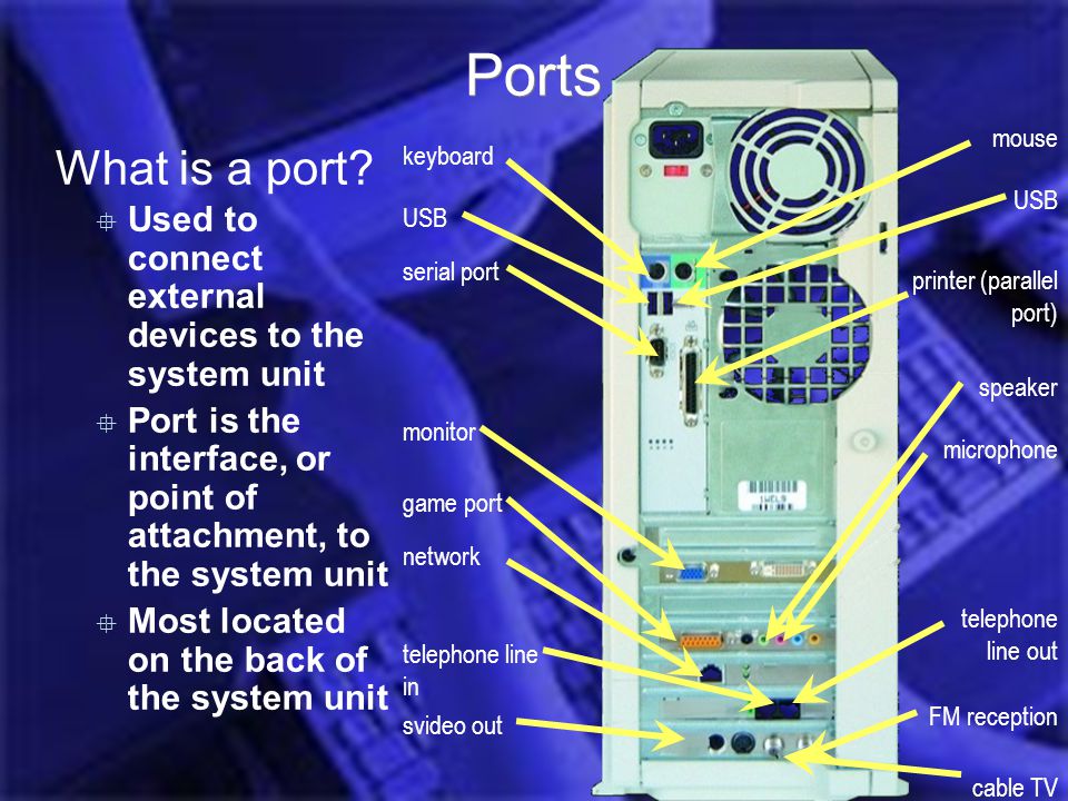 Introduction Computer Hardware Jess 2006 Ports What is a port.