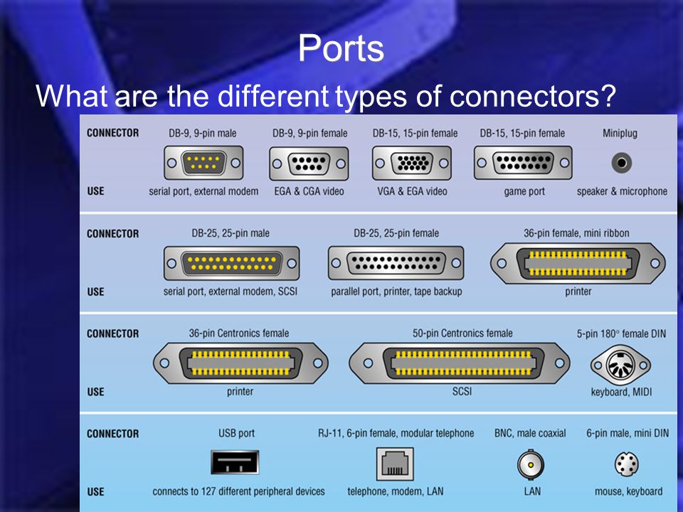 Introduction Computer Hardware Jess 2006 Ports What are the different types of connectors