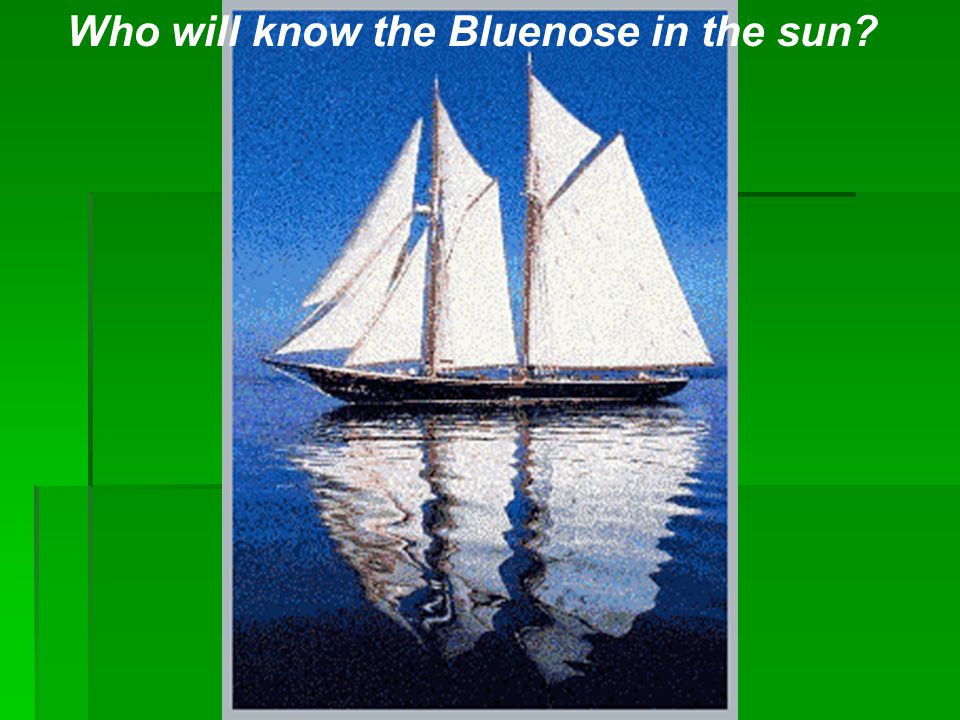 Who will know the Bluenose in the sun