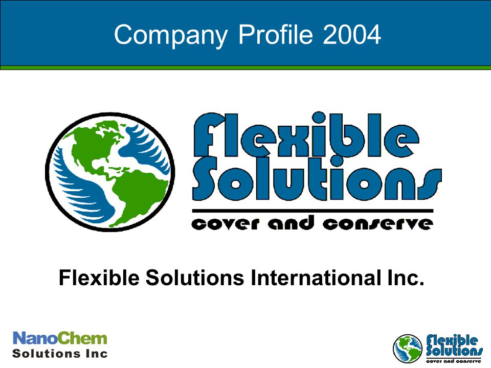 Solutions inter. RT solutions International. Flexi solution logo.