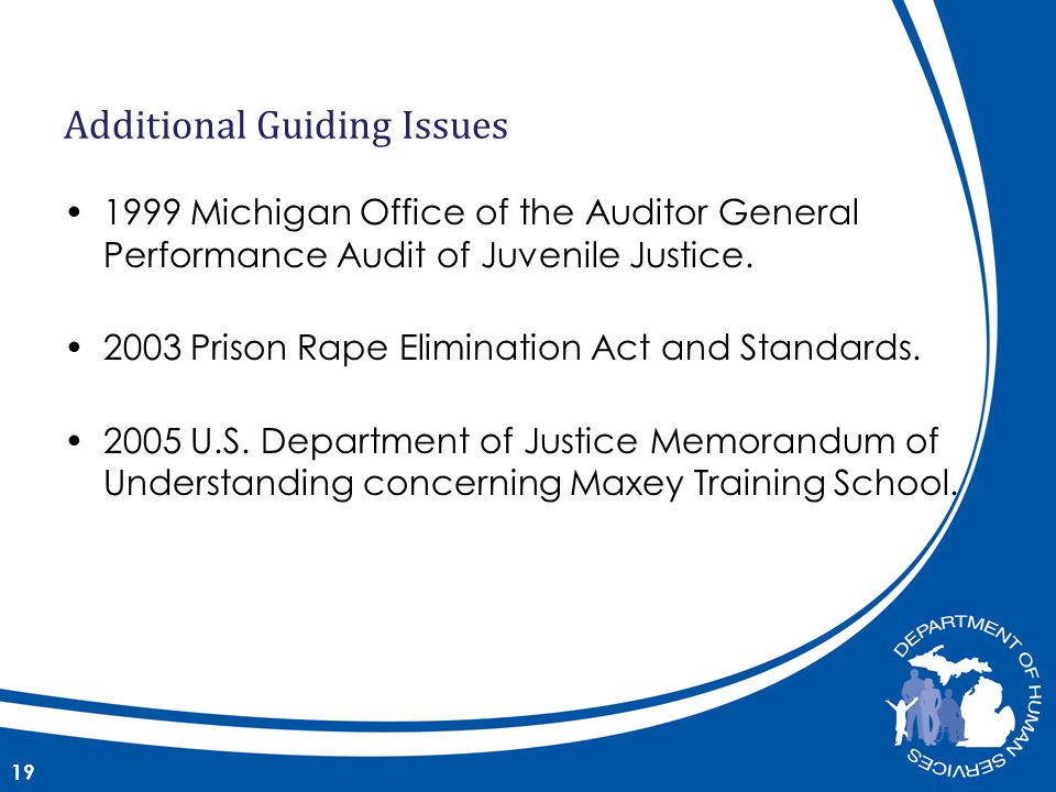 1999 Michigan Office of the Auditor General Performance Audit of Juvenile Justice.