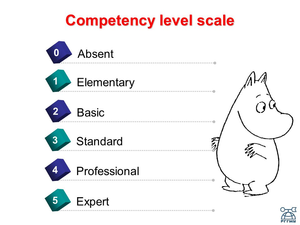 Competency level scale Absent 0 Elementary 1 Basic 2 Standard 3 Professional 4 Expert 5