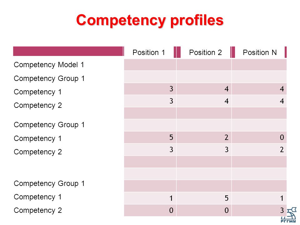 Competency profiles Position 1Position 2Position N Competency Model 1 Competency Group 1 Competency 1 Competency 2 Competency Group 1 Competency 1 Competency 2 Competency Group 1 Competency 1 Competency 2