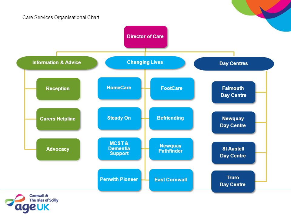 Care Services Organisational Chart