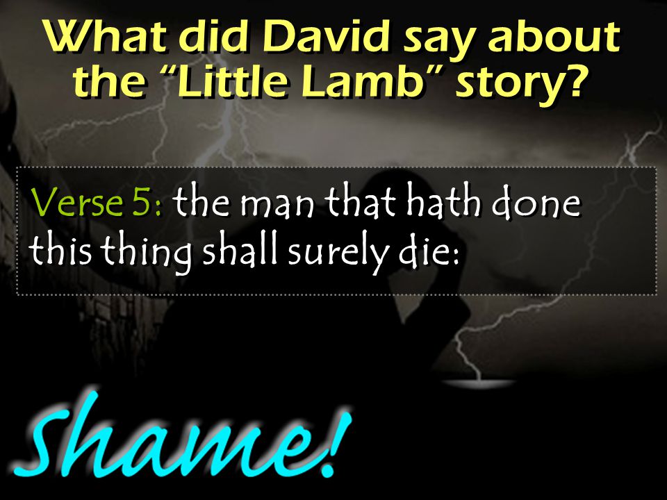 What did David say about the Little Lamb story.