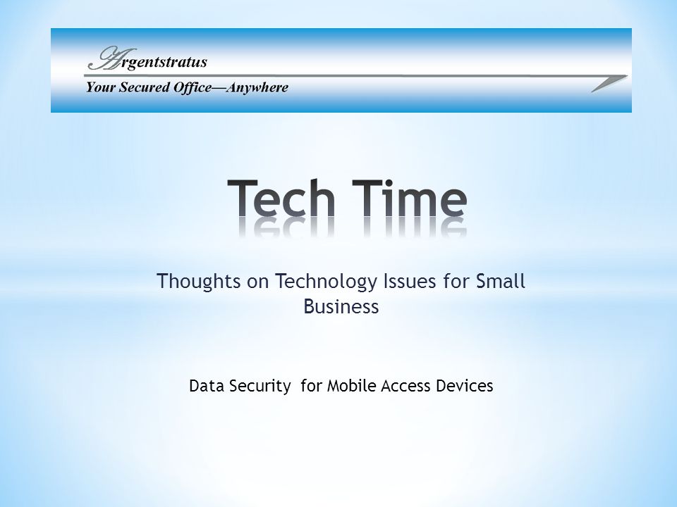 Thoughts on Technology Issues for Small Business Data Security for Mobile Access Devices