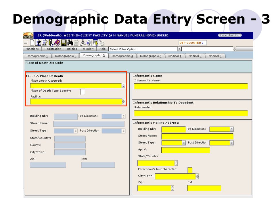 Demographic Data Entry Screen - 3