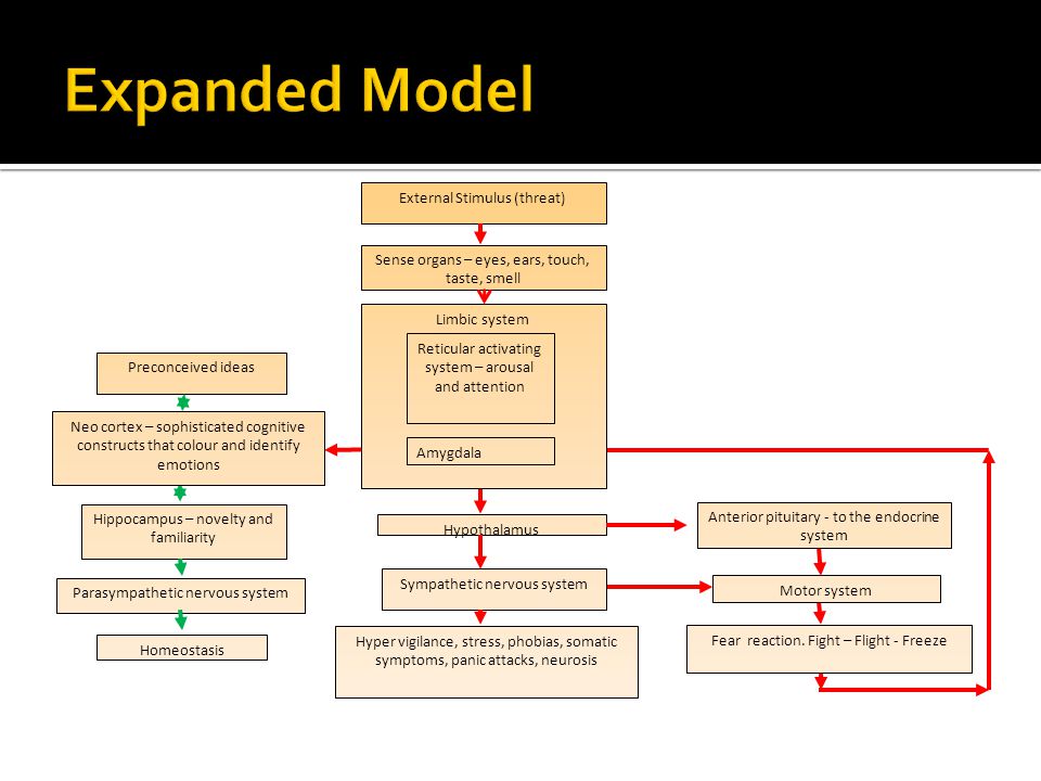 Motor system Fear reaction.